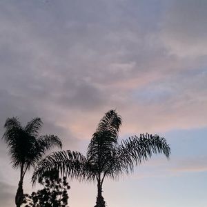 Meet your Posher, Joanna